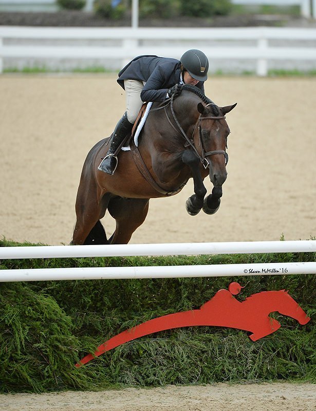 Rachel Kennedy - Success Equestrian